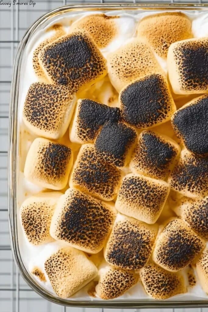 Gooey S’mores Dip