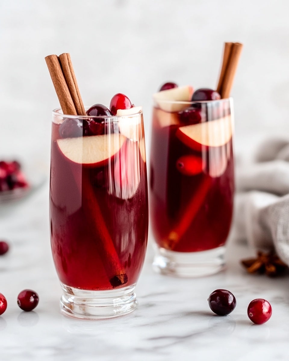 Sparkling Cranberry Apple Cider Punch Recipe - Recipe Image