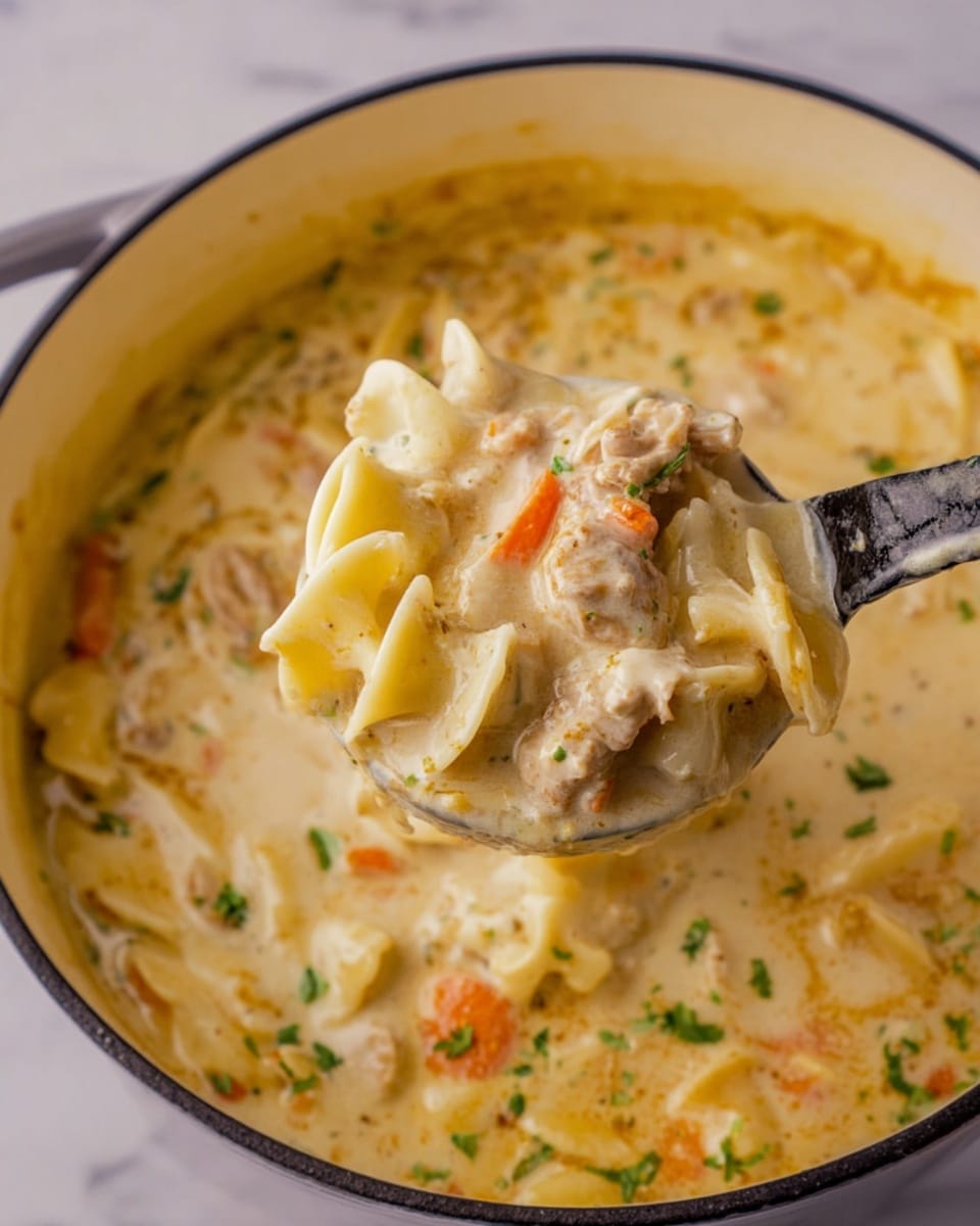 Cracker Barrel Chicken and Dumplings Recipe - Recipe Image