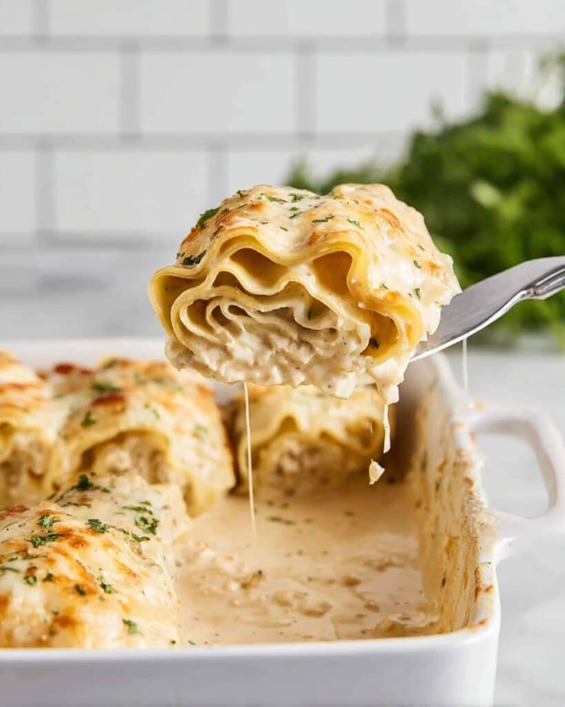Chicken Alfredo Lasagna Roll-Ups Recipe